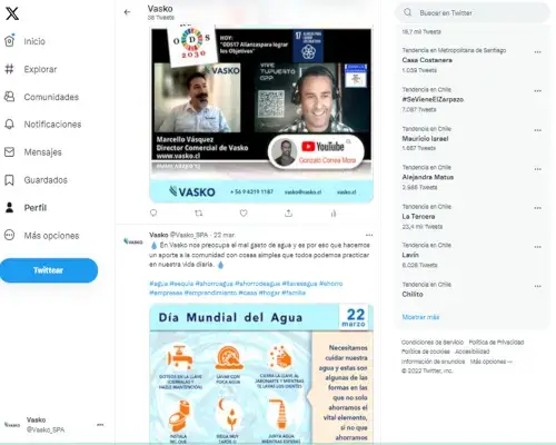 Twitter de Vasko