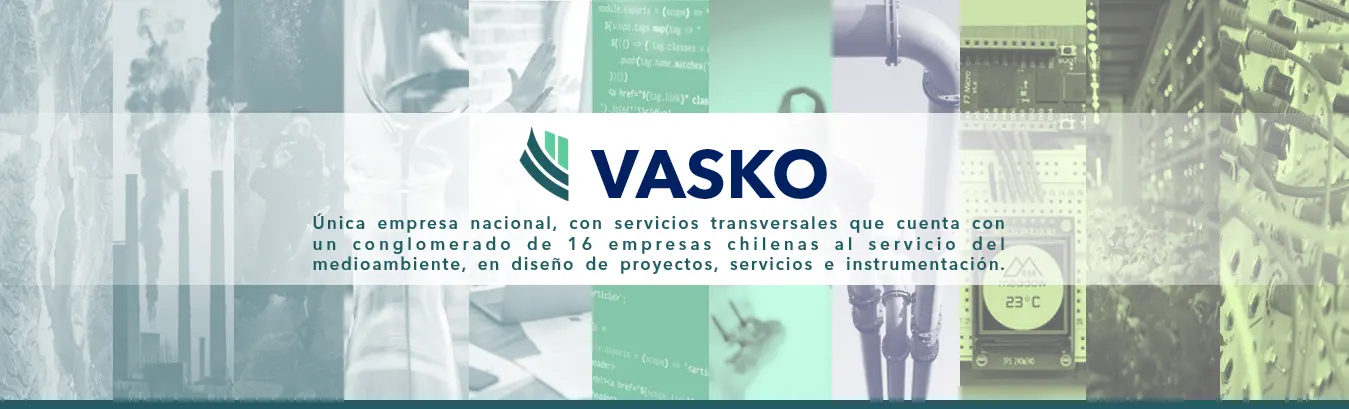 Vasko.cl unificador de empresas